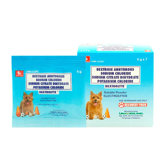 Dextrolyte Soluble Powder Recovery Pack 5g x 7 sachets